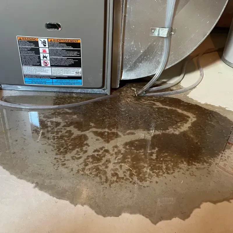 Appliance Leak Cleanup in Parkersburg, WV